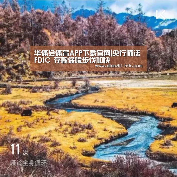 华体会体育官网入口