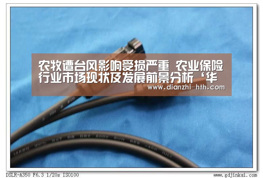 农牧遭台风影响受损严重 农业保险行业市场现状及发展前景分析‘华体会体育官方平台’(图4) 华体会体育官方平台