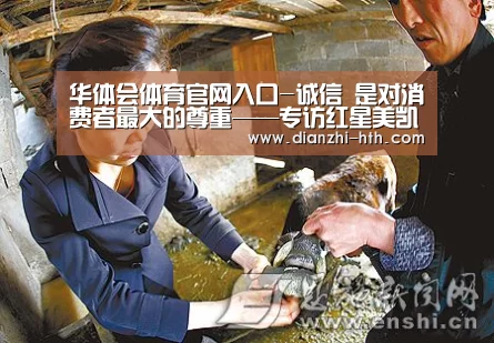 华体会体育官网入口-诚信 是对消费者最大的尊重——专访红星美凯龙张掖天佑商场总司理 张磊(图1) 华体会体育官网入口