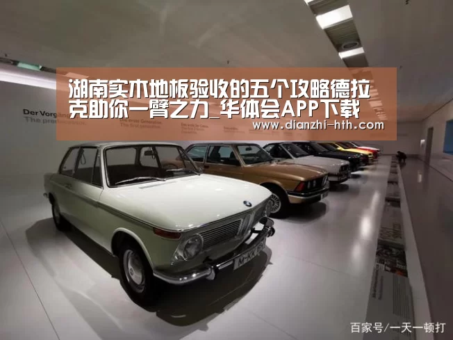 华体会体育APP下载官网