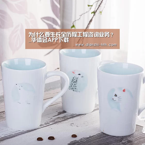 华体会体育官网入口